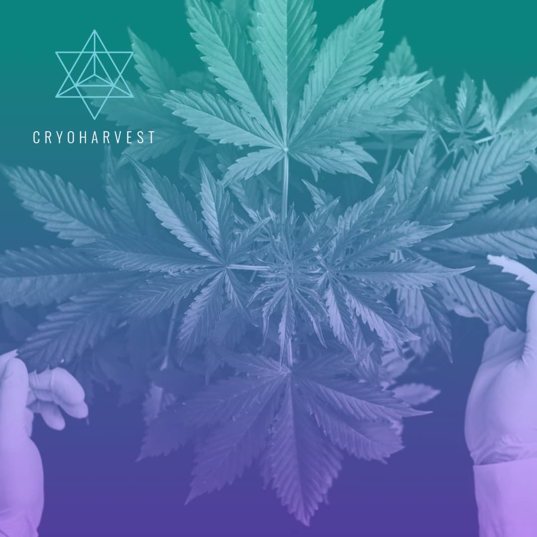 Cryoharvest