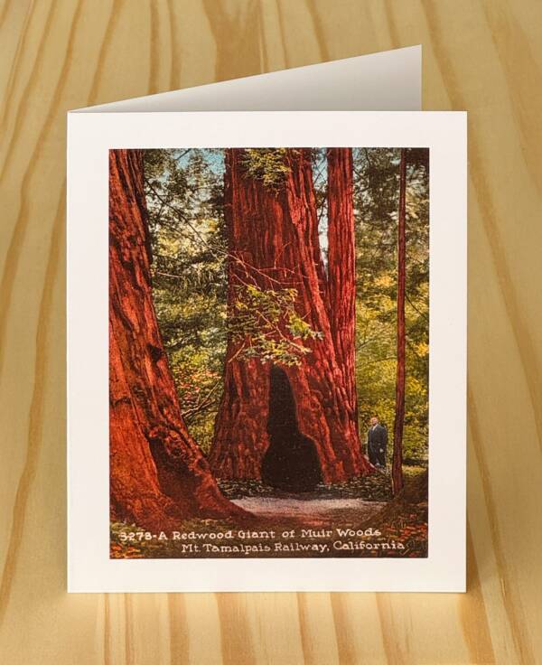 SUNDIAL Marin County & San Francisco Greeting Cards - Image 13