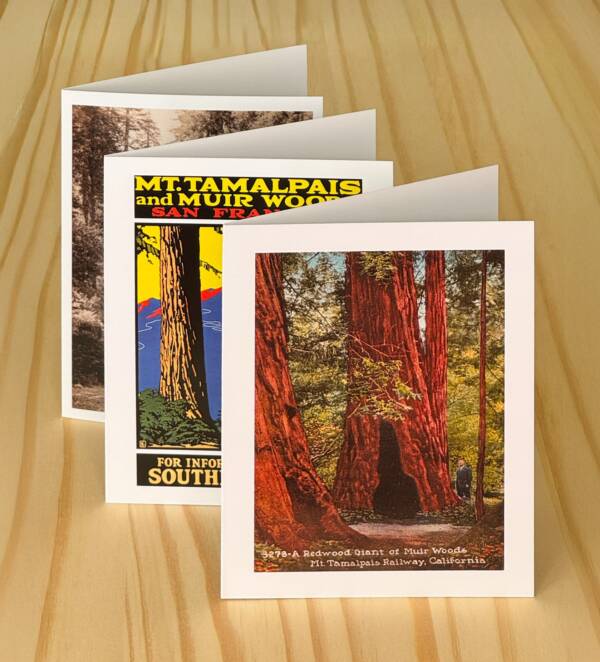 SUNDIAL Marin County & San Francisco Greeting Cards