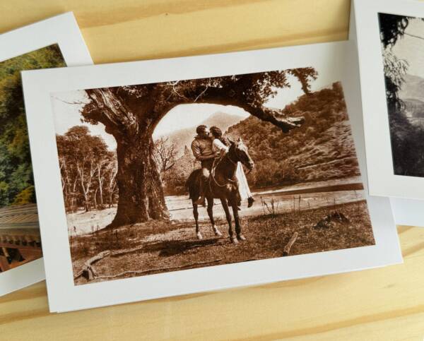 SUNDIAL Marin County & San Francisco Greeting Cards - Image 6