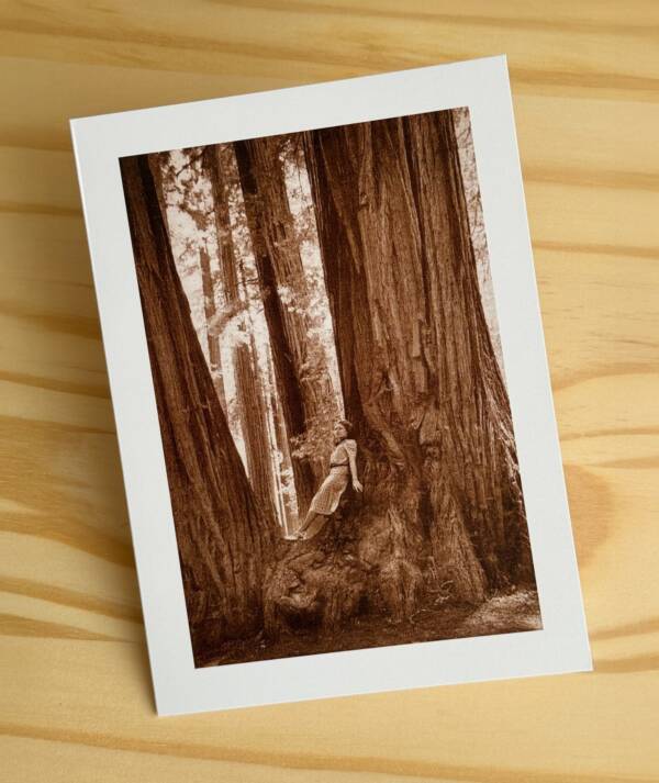 SUNDIAL Marin County & San Francisco Greeting Cards - Image 10