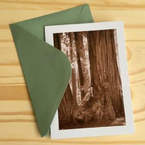 SUNDIAL Greeting Cards