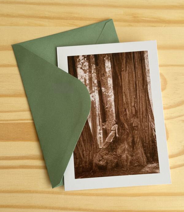 SUNDIAL Marin County & San Francisco Greeting Cards - Image 3